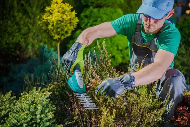 landscaping services St. Clair